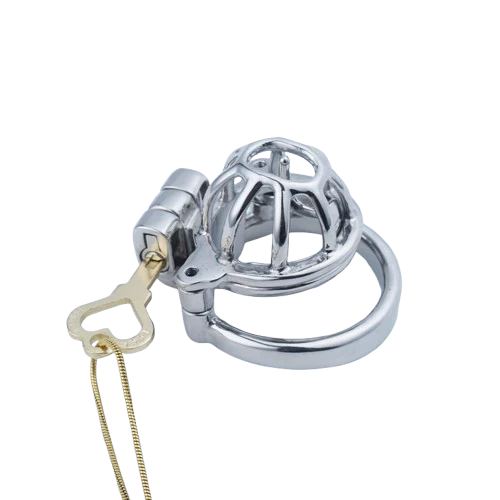 2 Cages Custom Chastity Cage - Image 3