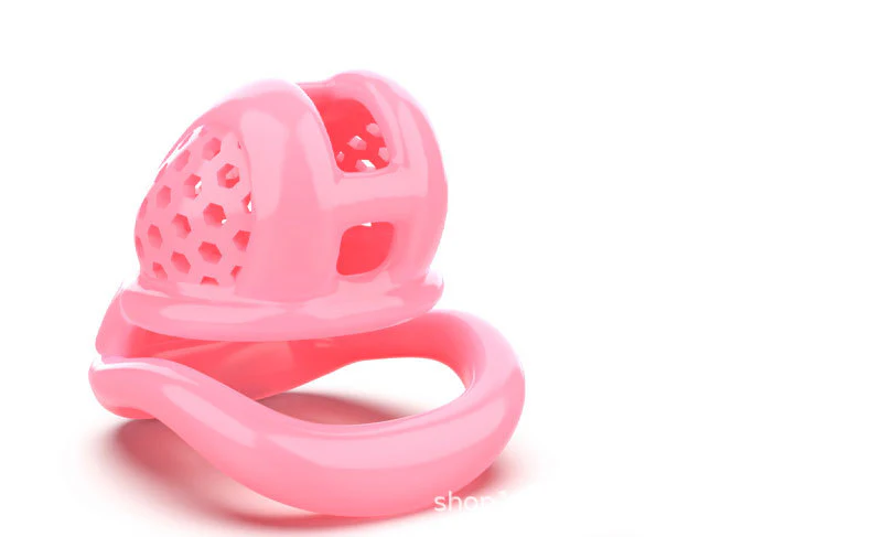 3D Cock Cage with Small Lock - Image 2