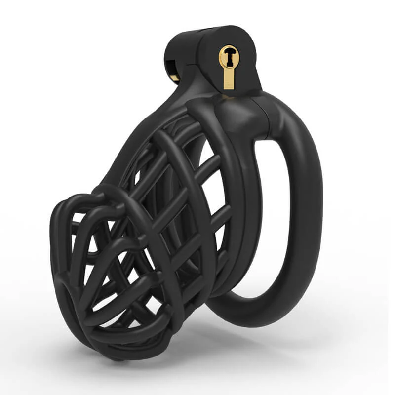 3D Stegosaurus Spine Bone Chastity Device Kit - Image 2
