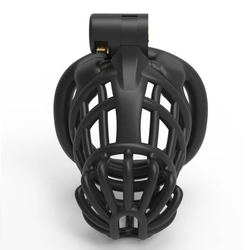 3D Stegosaurus Spine Bone Chastity Device Kit - Image 3