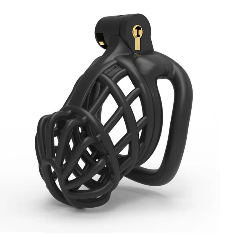 3D Stegosaurus Spine Bone Chastity Device Kit - Image 4