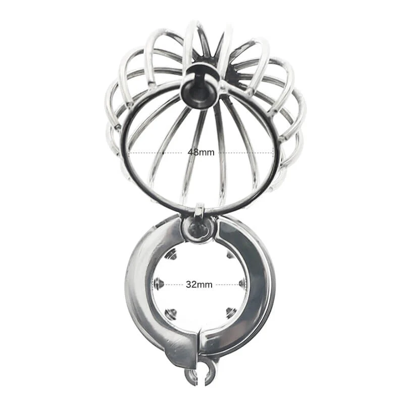 440g Ball Stretcher Net bag Lock Metal Scrotum Pendant Testis Cock Ring - Image 4