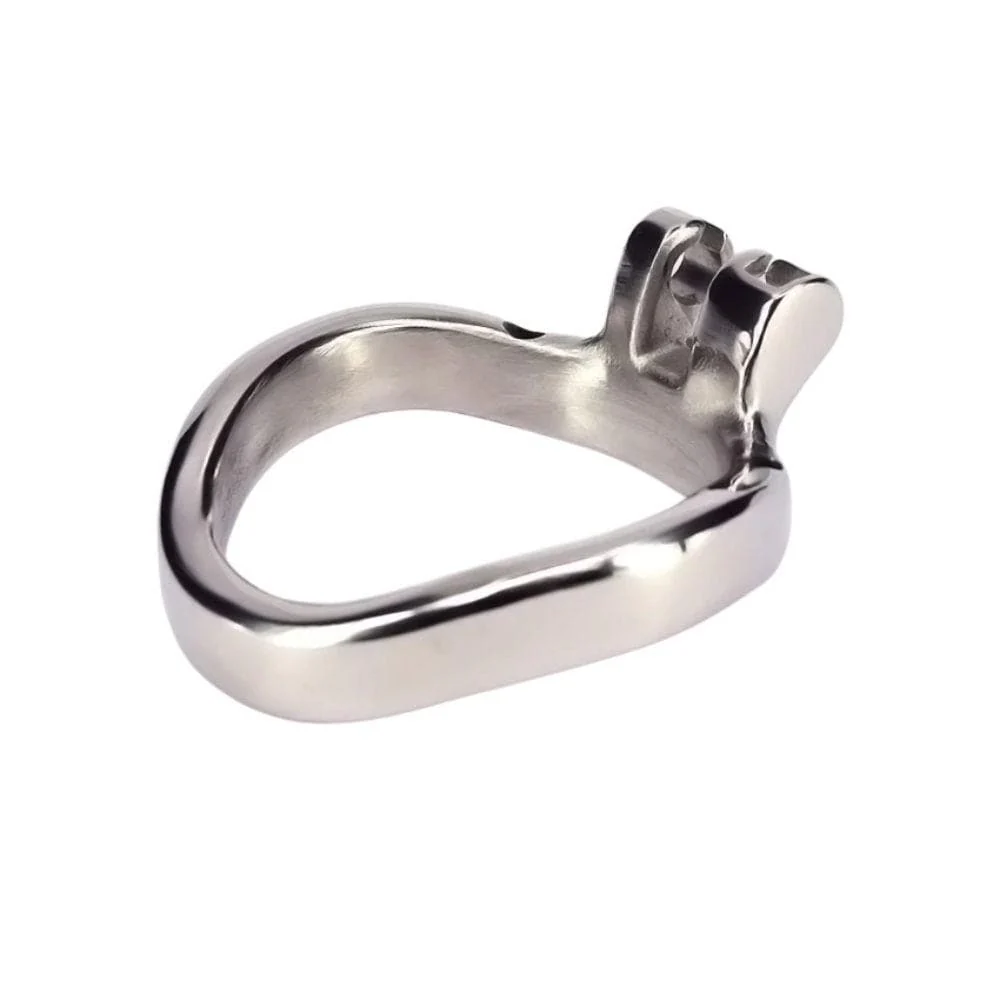 Accessory Ring for Steel Bird Holy Trainer - Image 3