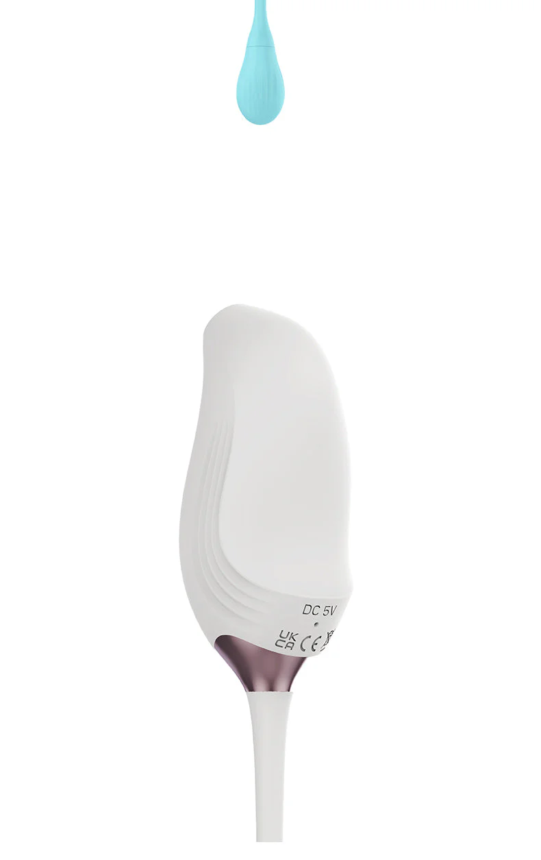 App Dildo Vibrator Pulse Bird Female Sucking Massager - Image 19