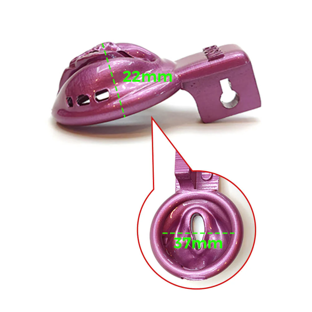 BDSM Vaginal Chastity Devices Cage - Image 3