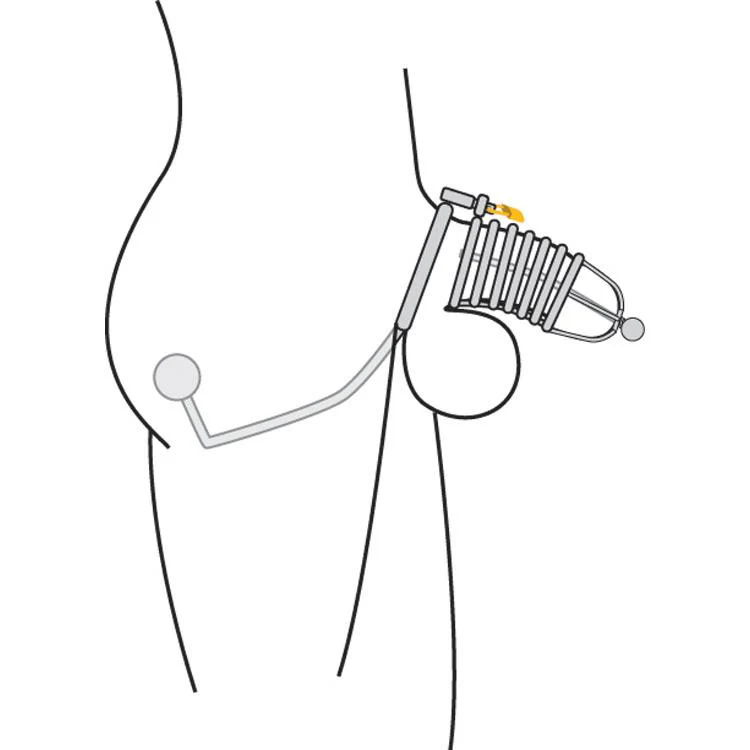 Condemned Penetration Cage with Anal Insertion - Image 3
