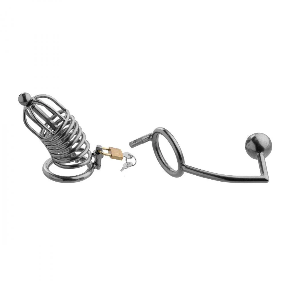 Condemned Penetration Cage with Anal Insertion - Image 5