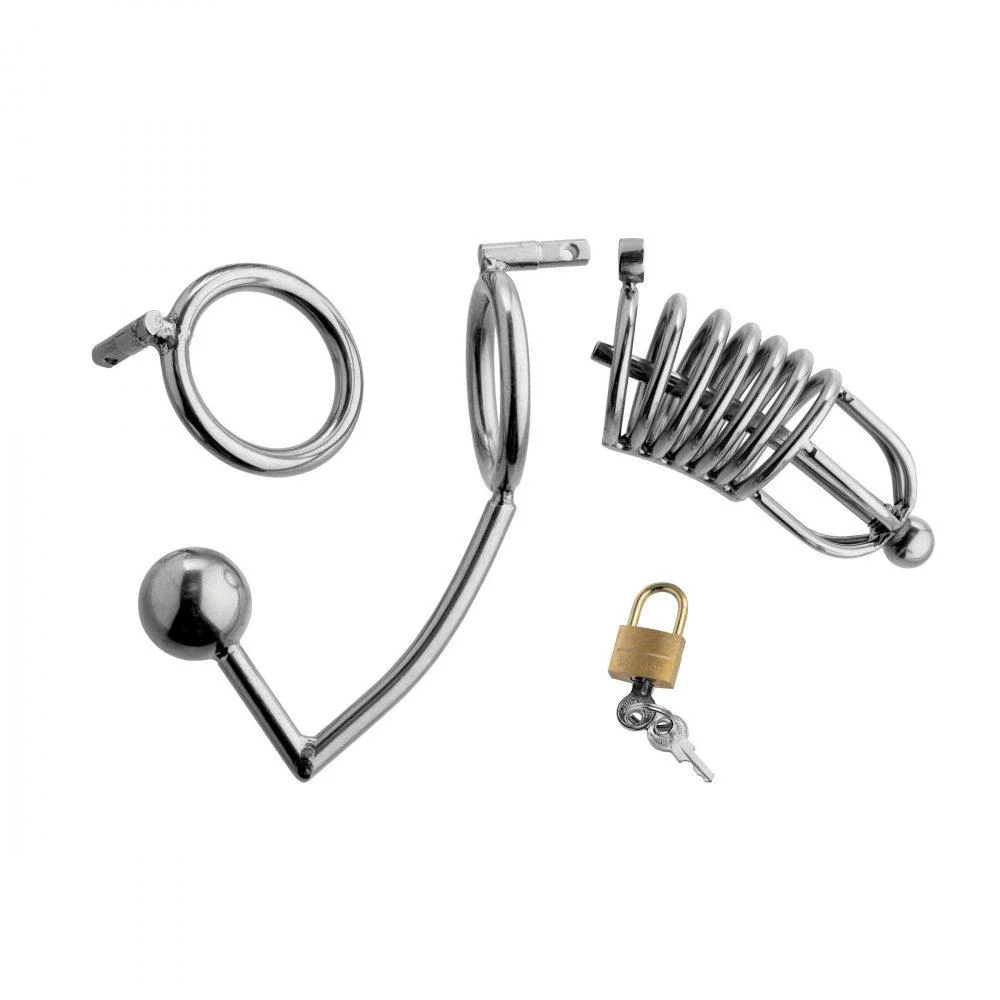 Condemned Penetration Cage with Anal Insertion - Image 6