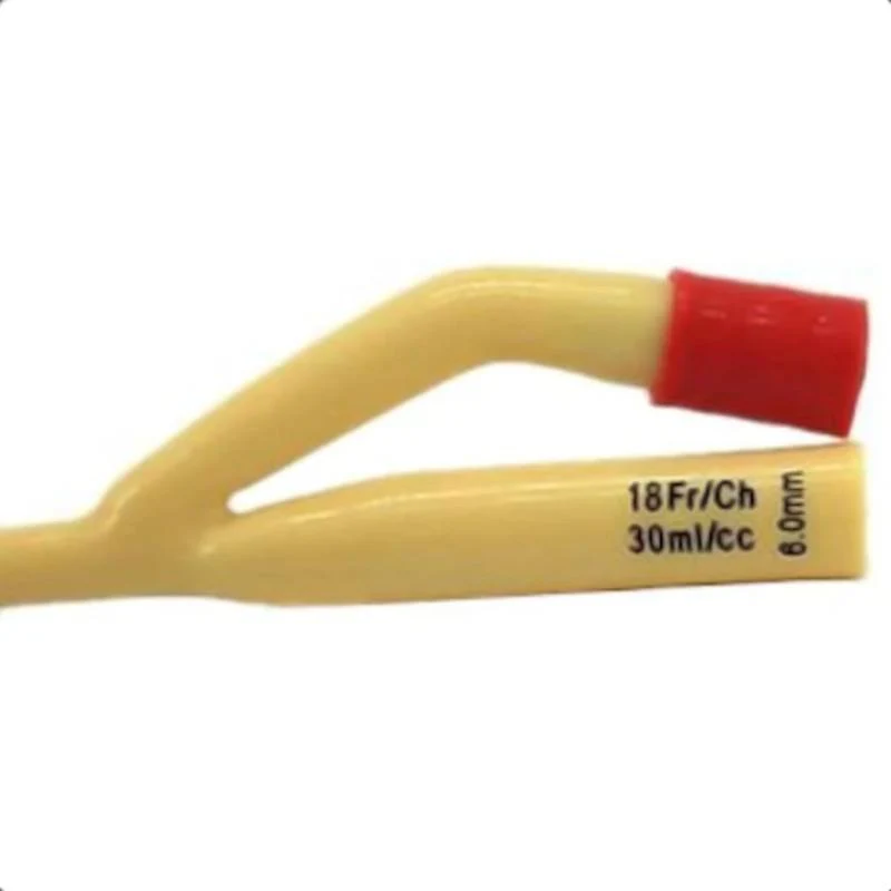 Flexible Urethral Sound | Disposable Double Hole Penis Plug - Image 4