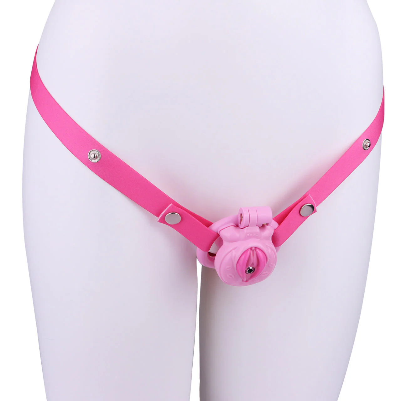 DIY Sissy Pussy Cage - Image 6