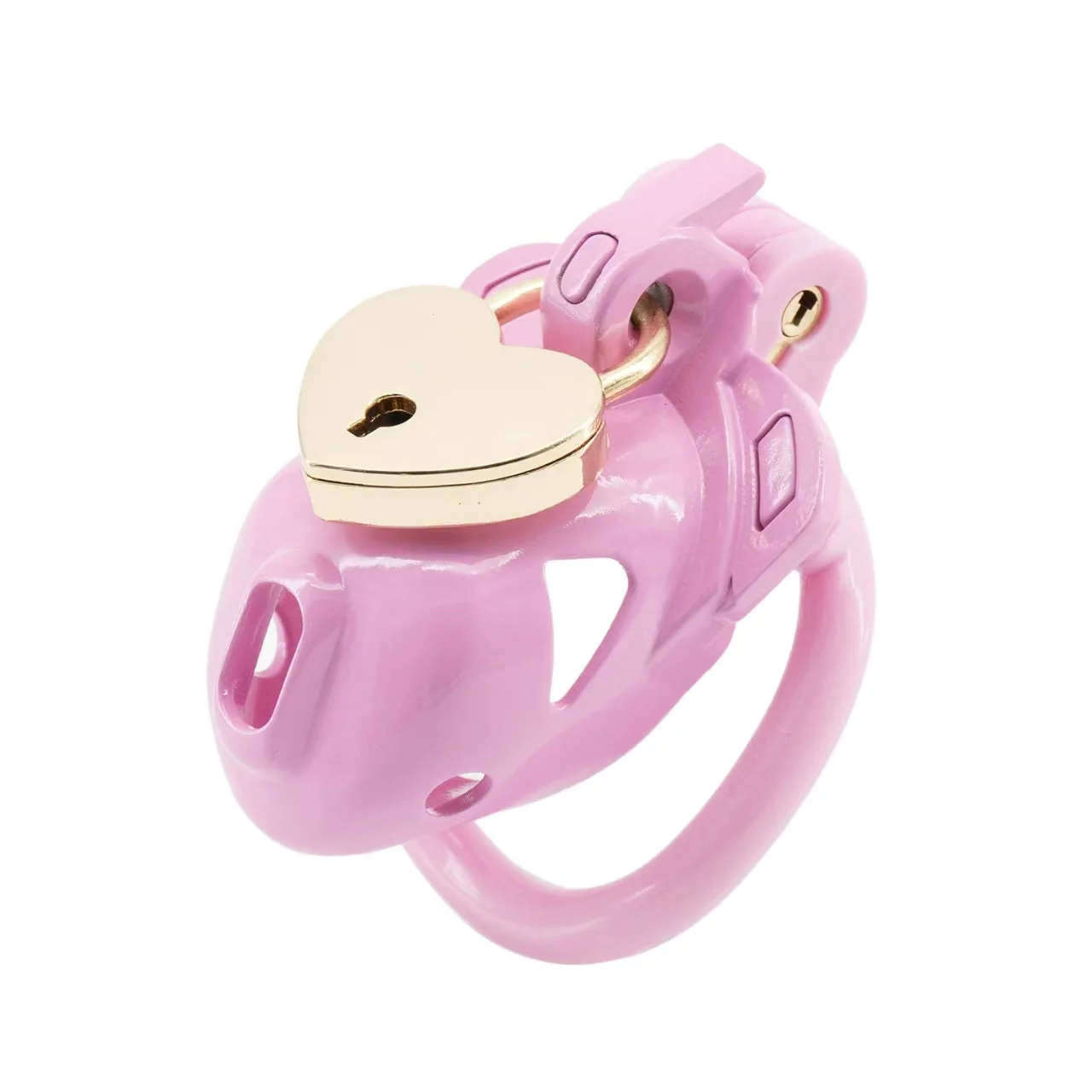 Double Lock Chastity Cage - Image 6