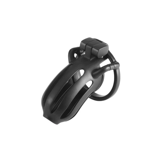Dragon Prison Custom Chastity Cage Steel - Image 5