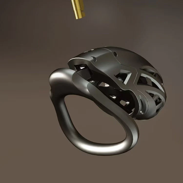 Dragon Taming Master App Electric Chastity Cage - Image 11