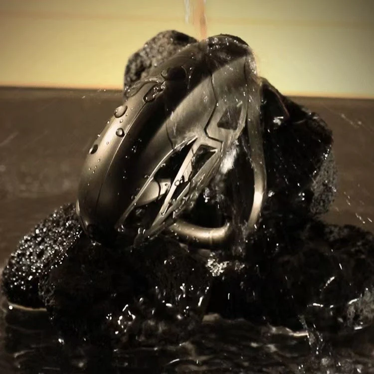 Dragon Taming Master App Electric Chastity Cage - Image 3