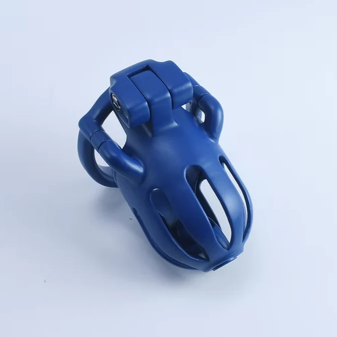 Dragon's Lock – Custom Steel Chastity Prison - Image 6
