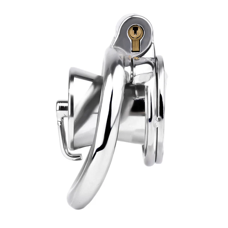 Inverted Prince Albert Piercing Chastity Cage - Image 5