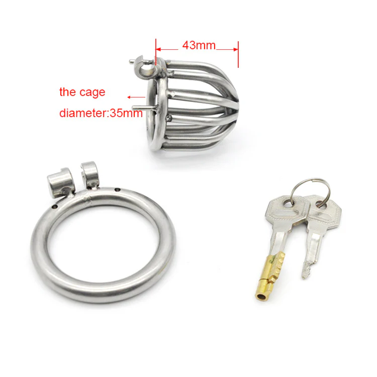 Locked and Shamed Metal Chastity Cage - Image 2
