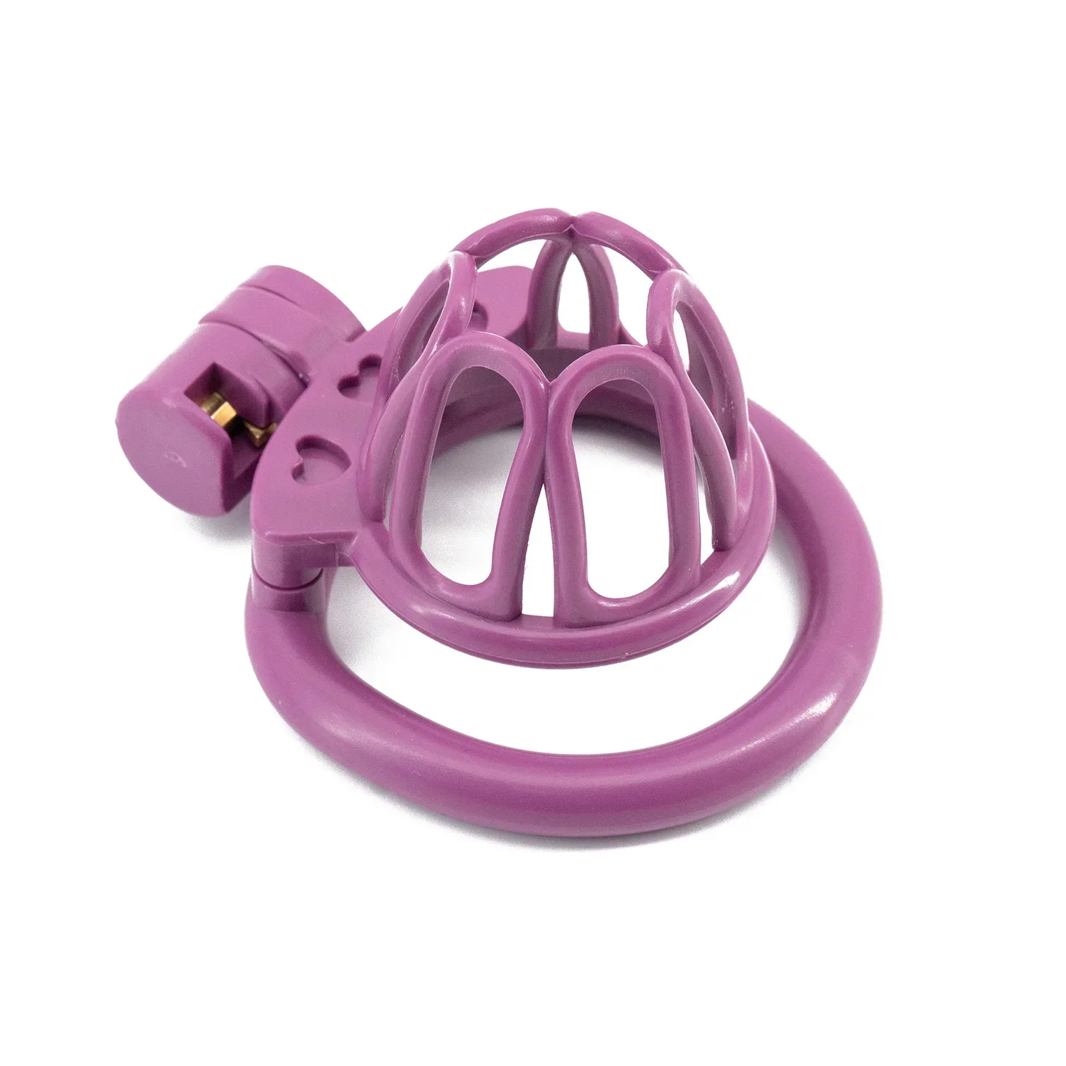 Lovely Sissy Chastity Cage - Image 6