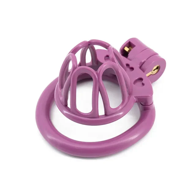 Lovely Sissy Chastity Cage - Image 8