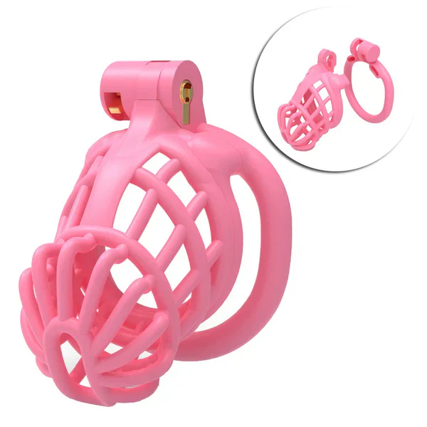 Male Chastity Cage For Sissy - Image 2