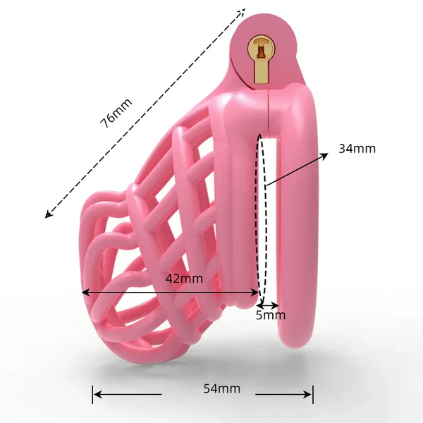 Male Chastity Cage For Sissy - Image 3