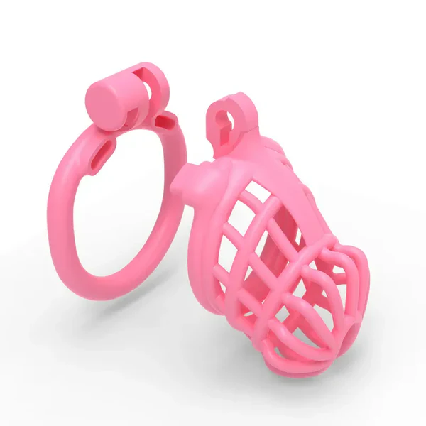 Male Chastity Cage For Sissy - Image 4