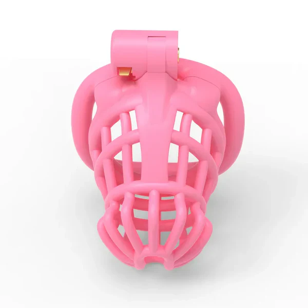 Male Chastity Cage For Sissy - Image 5