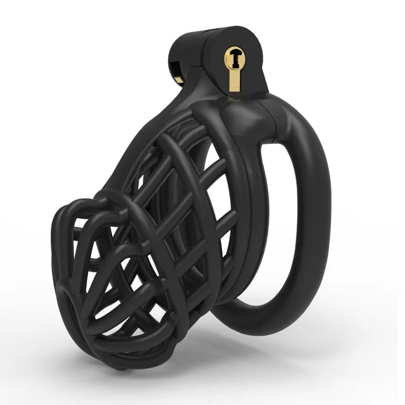 Male Chastity Cage For Sissy - Image 7
