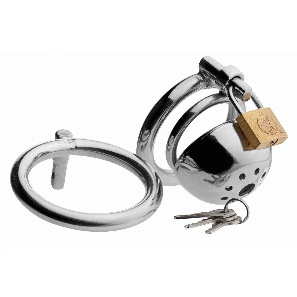 Solitary Extreme Confinement Cage - Image 3