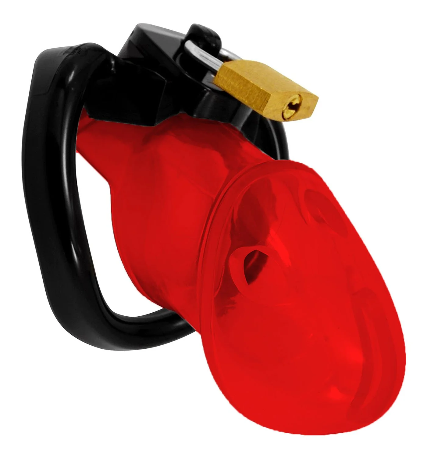 Train Your Man Holy Trainer Chastity Cage - Image 3