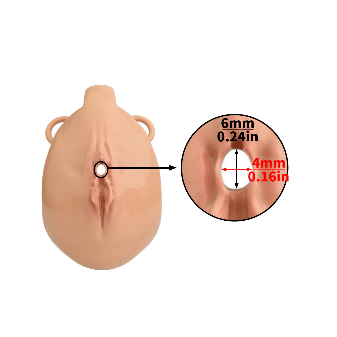 Pussy Chastity Cage With Wearable Butt Plug - Image 12