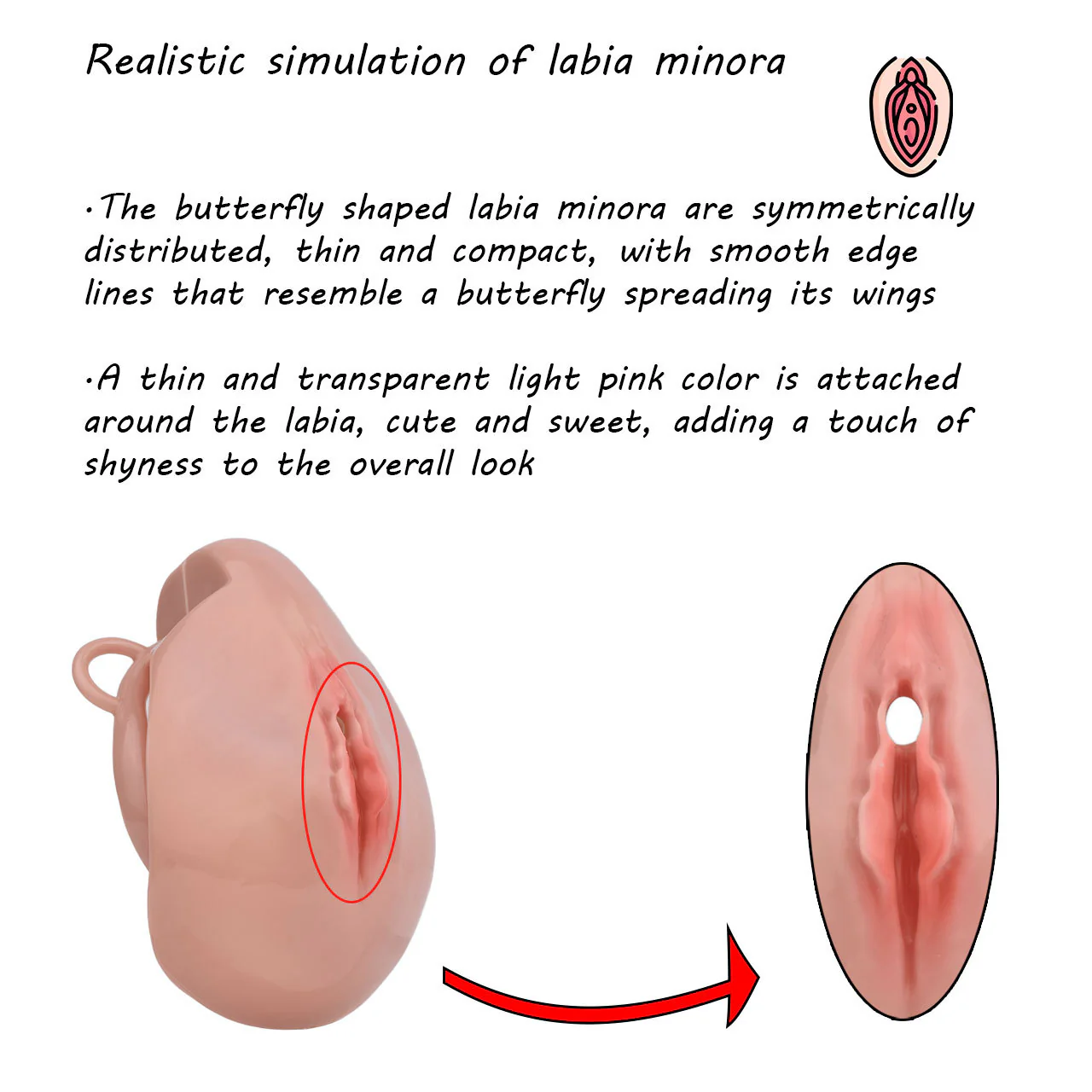 Pussy Chastity Cage With Wearable Butt Plug - Image 13