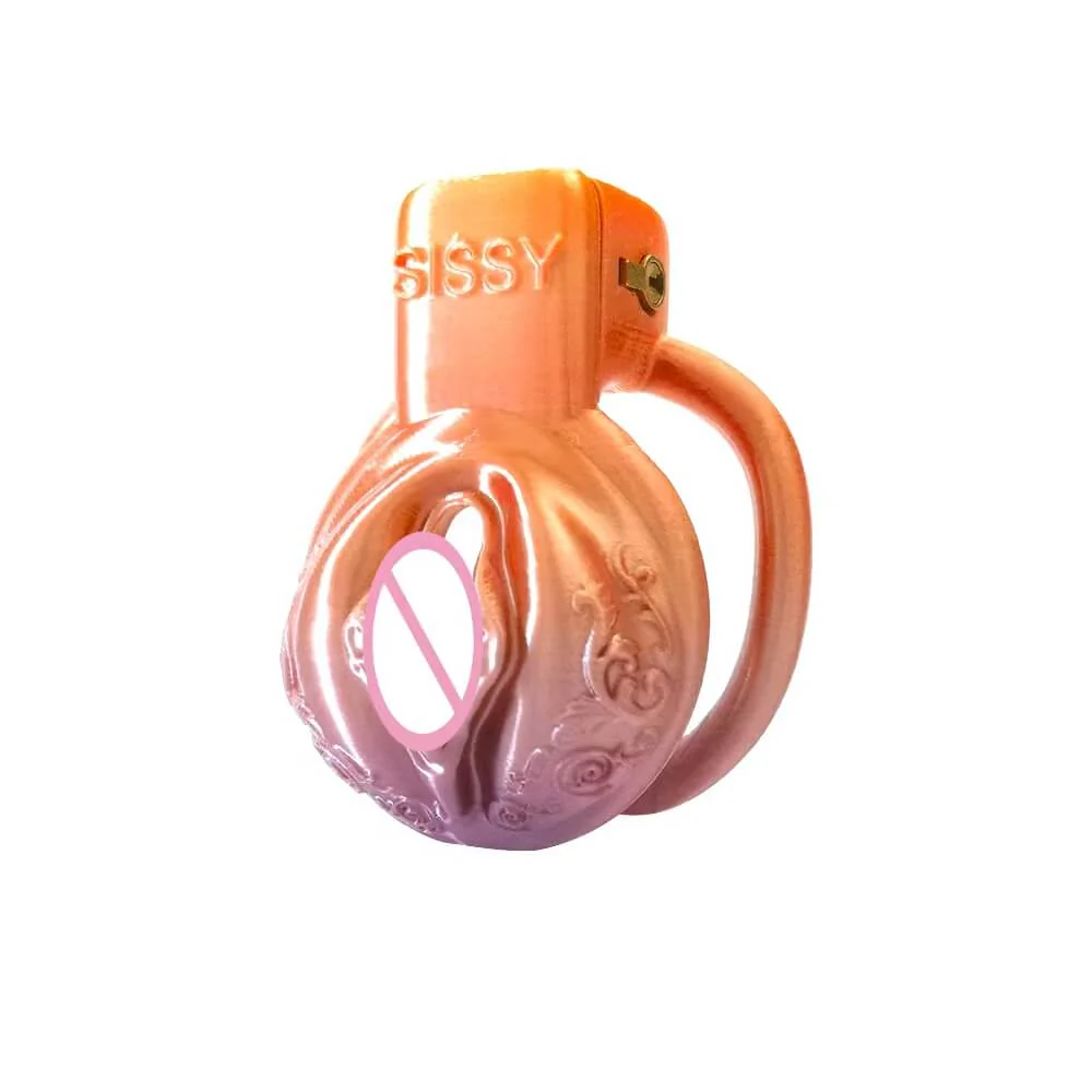 Pussy Vaginal Mix Color Chastity Cage - Image 6