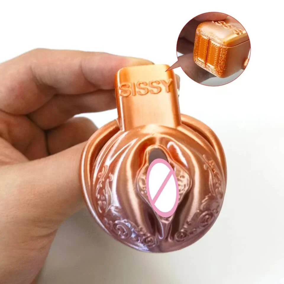 Pussy Vaginal Mix Color Chastity Cage - Image 7
