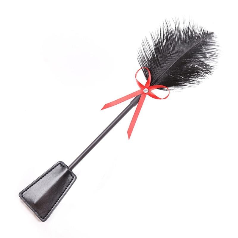 Reward and Punishment Feather Whip - Image 2