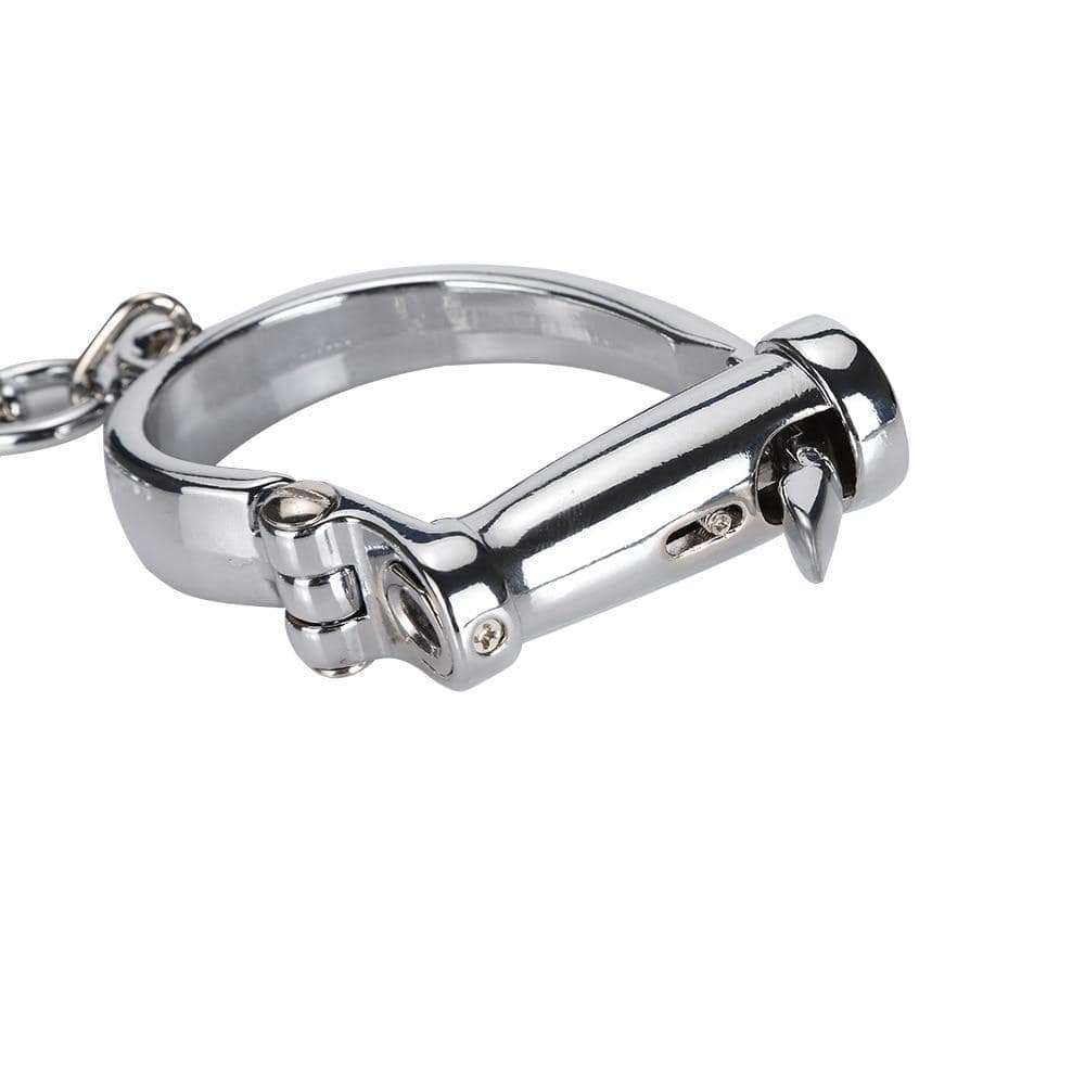 Shiny Horseshoe Like Iron Shackles - Image 5