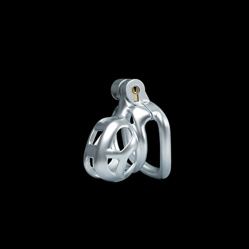 Silver Cobra Chastity Cage Kit 1.77 To 4.13 Inches Long - Image 3
