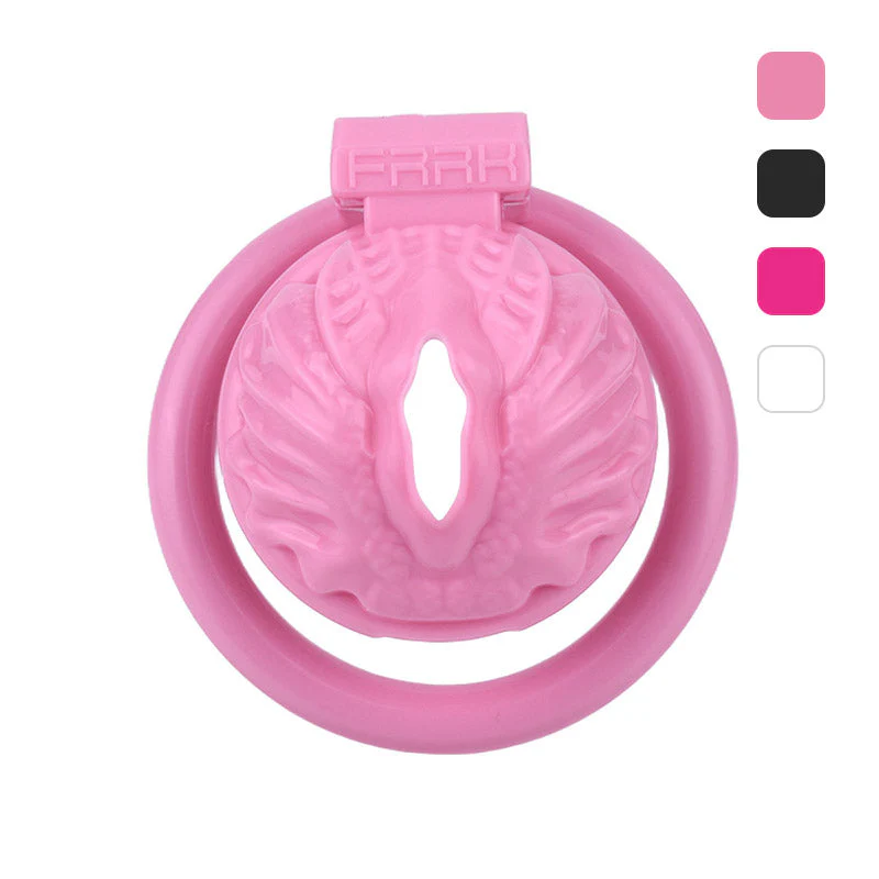 Sissy Pussy Chastity Cage - Image 6