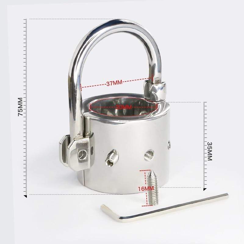 Stainless Ball Divider Torment Device - Image 4