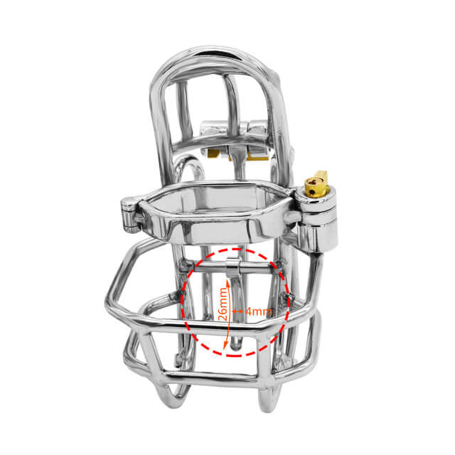 Stainless Steel Detachable PA Puncture Chastity Device - Image 7