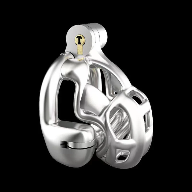 Stainless Steel Double-Lock Mamba Cock Cage - Image 2