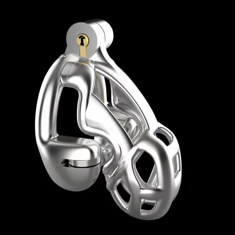 Stainless Steel Double-Lock Mamba Cock Cage - Image 6