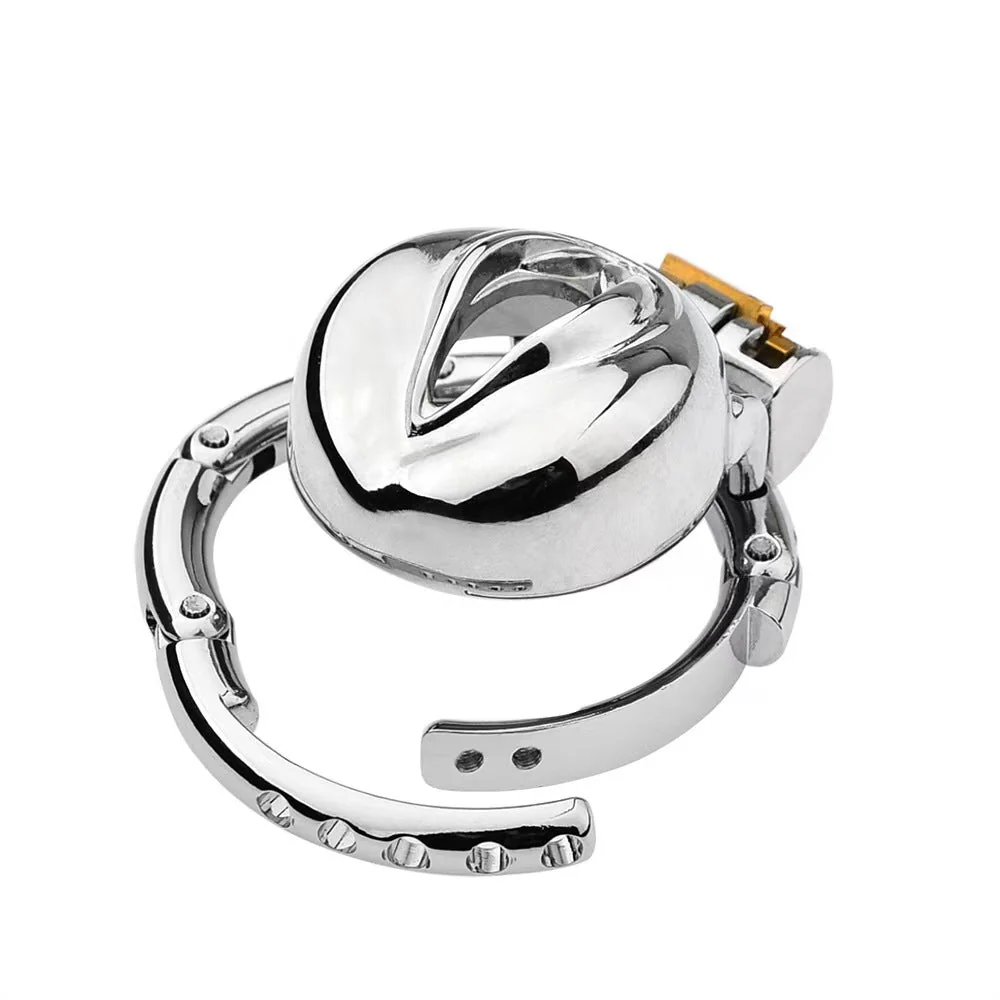 Stainless Steel Pussy Cock Cage