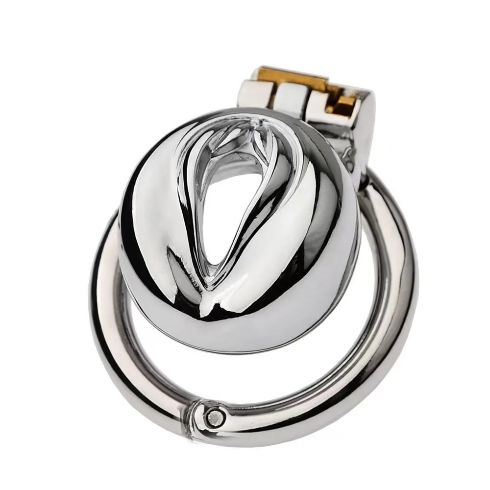 Stainless Steel Pussy Cock Cage - Image 2