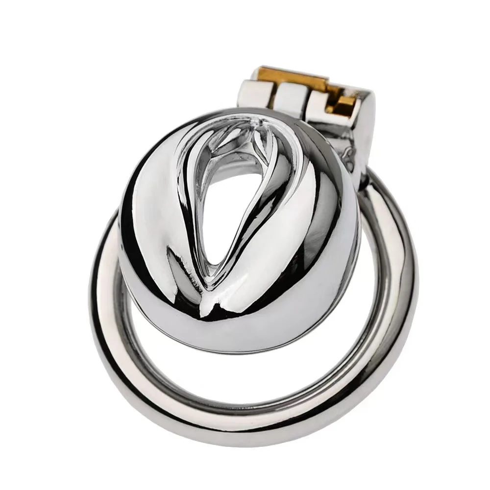 Stainless Steel Pussy Cock Cage - Image 3
