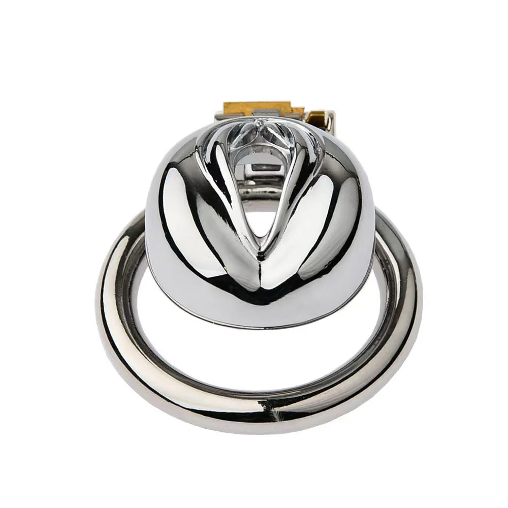 Stainless Steel Pussy Cock Cage - Image 4