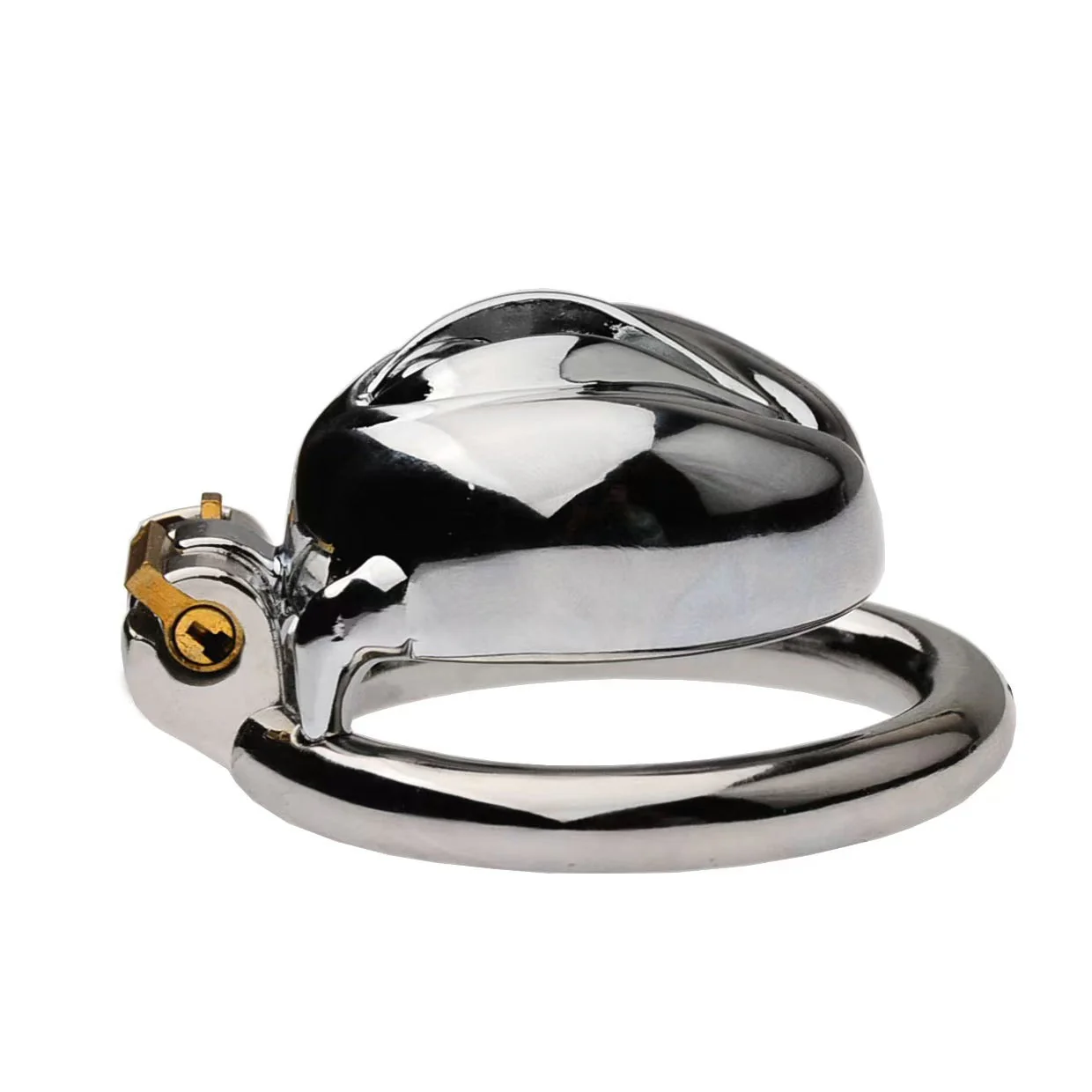 Stainless Steel Pussy Cock Cage - Image 5