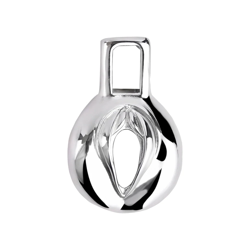 Steel Clitty Chastity Cage - Image 6
