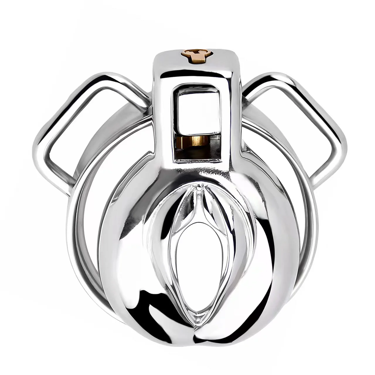 Pussy Chastity - Steel Clitty Chastity Cage with Belt - Image 13