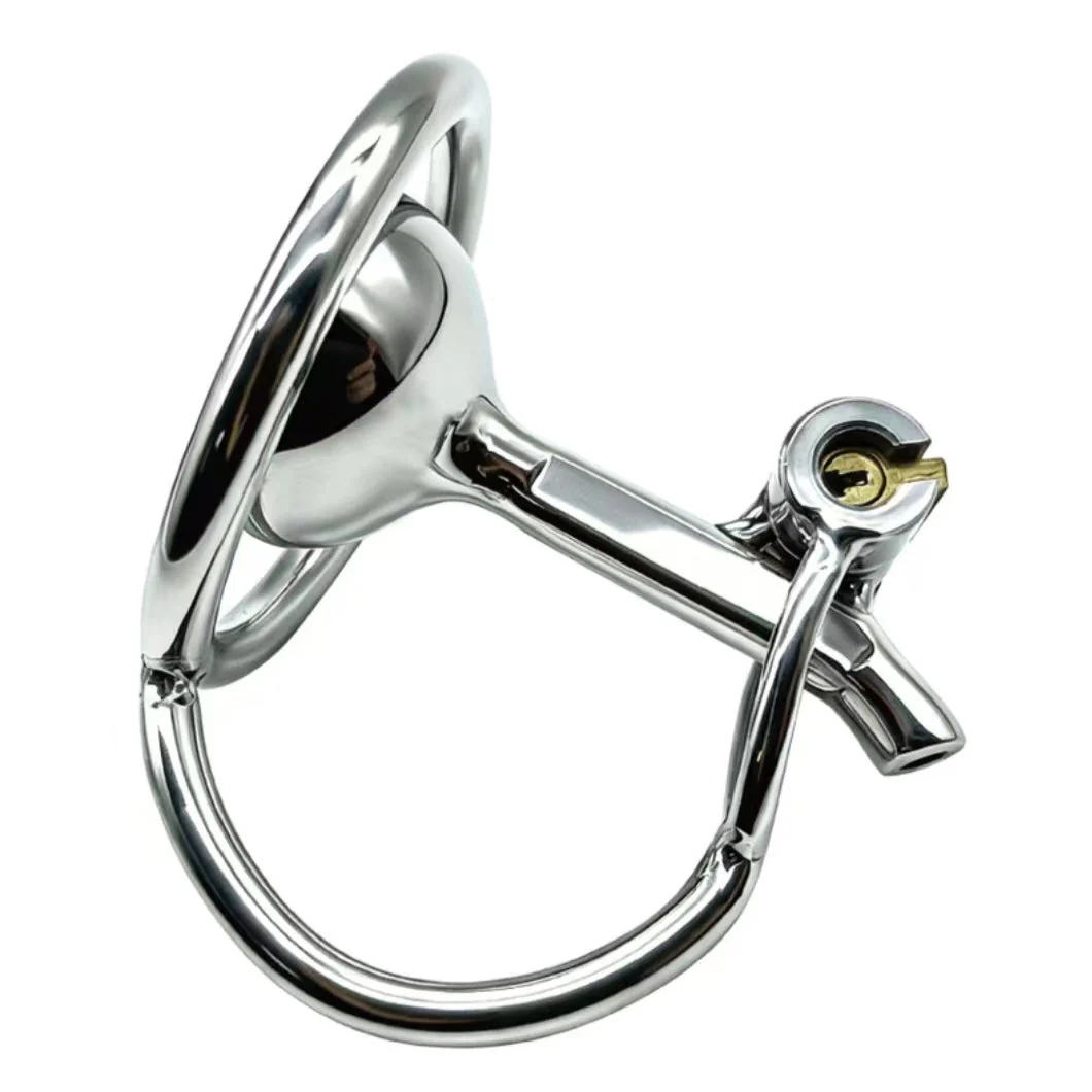 Steel Inverted Restraint Cage - Image 2